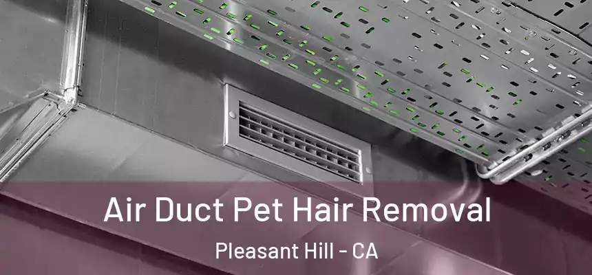  Air Duct Pet Hair Removal Pleasant Hill - CA
