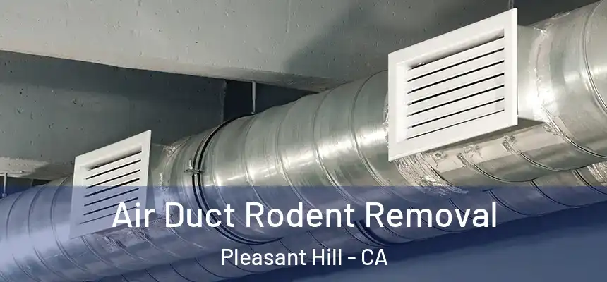 Air Duct Rodent Removal Pleasant Hill - CA