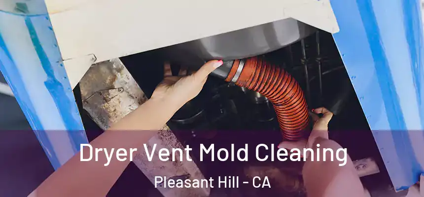  Dryer Vent Mold Cleaning Pleasant Hill - CA