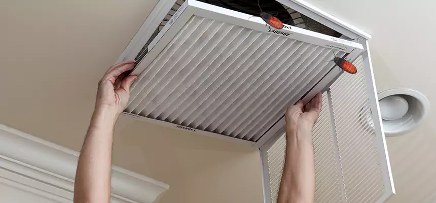 Preventive Cockroach-Proofing for Ducts in Pleasant Hill