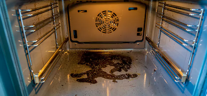 Our Dryer Vent Mold Cleaning Services in Pleasant Hill, CA