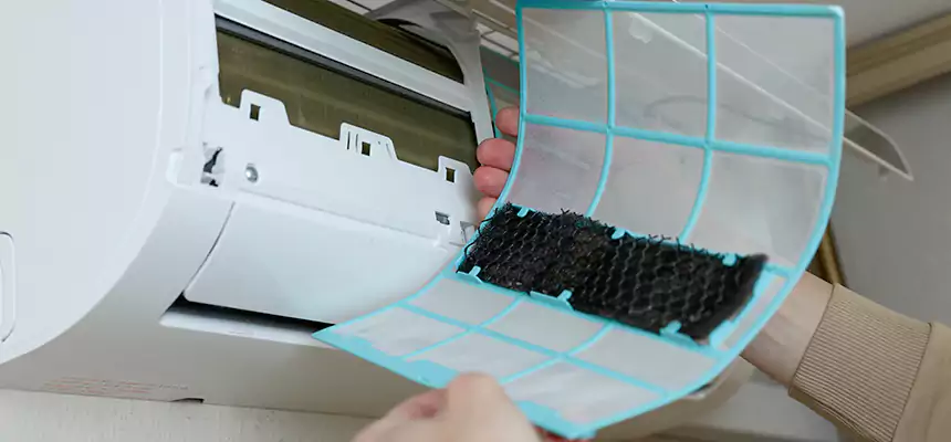 Gentle Ductwork Odor-Control Pet Dander Duct Cleaning in Pleasant Hill, CA