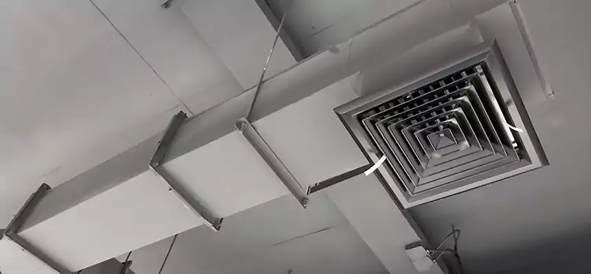 Our Rodent Droppings In Vents Services in Pleasant Hill, CA