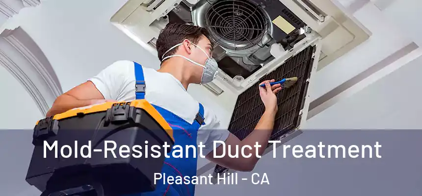 Mold-Resistant Duct Treatment Pleasant Hill - CA