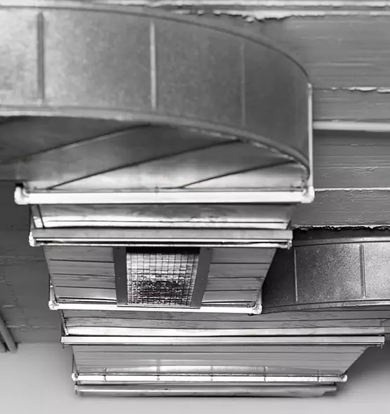 Professional Air Duct Pest Removal in Pleasant Hill, CA