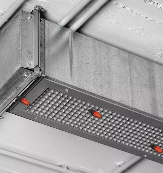 Affordable Insect Removal from Air Ducts in Pleasant Hill, CA