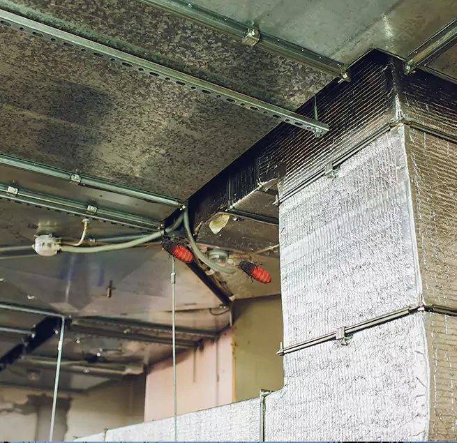 Why Homeowners & Businesses Trust Us in Pleasant Hill, CA?