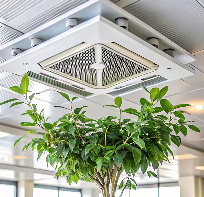 Why Homeowners & Businesses Trust Us in Pleasant Hill, CA?